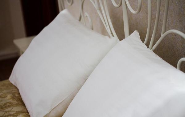 Superior room “Pizhma”