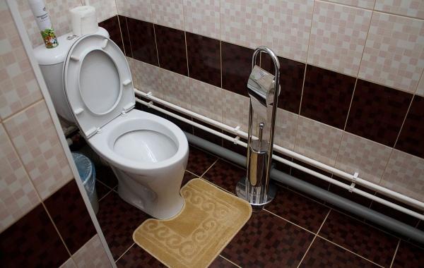 Superior room “Pizhma”